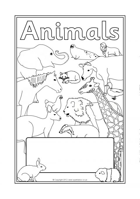 Animals Editable Topic Book Covers (SB7948) - SparkleBox