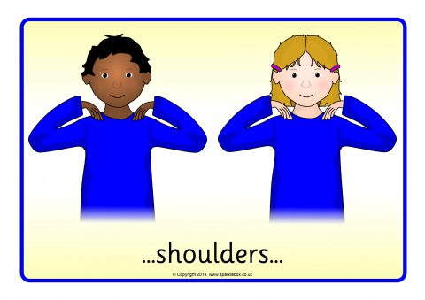Head, Shoulders, Knees and Toes Visual Aids.