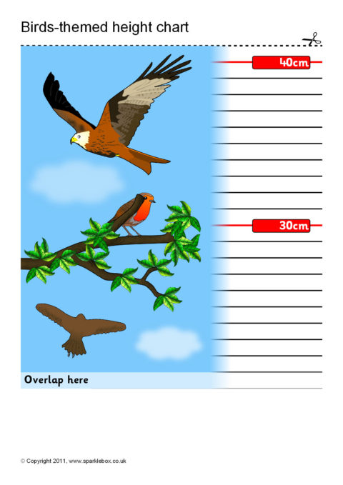 Bird Height Chart