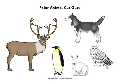 Polar Animal Cut-Outs (SB10325) - SparkleBox