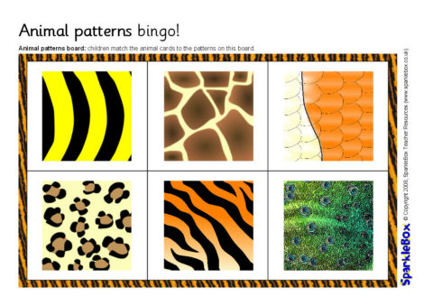 Animal Patterns Bingo (SB1727) - SparkleBox