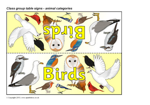 Animal Categories Group Table Signs (SB9949) - SparkleBox