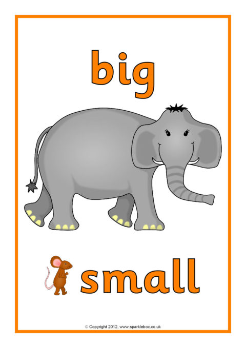 Small big com. Big small для детей. Карточки big small. Карточка большой английский. Big картинка для детей.