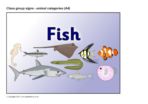 Animal Categories Group Signs – A4 (SB9950) - SparkleBox