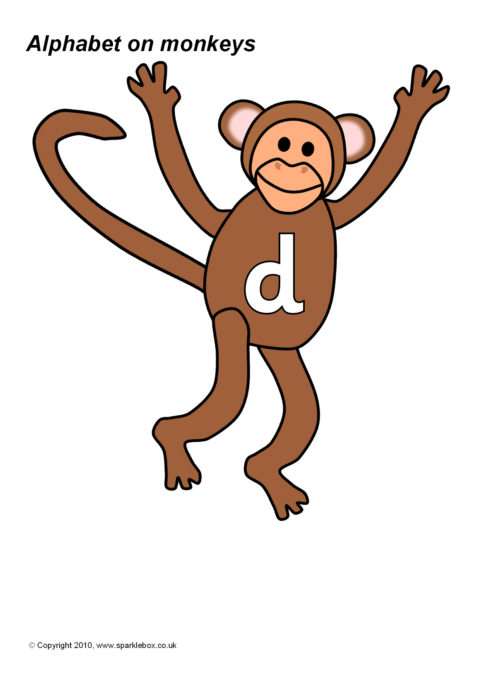 Обезьянка цифра 20. Отряды млекопитающих шимпанзе. Число обезьяны. Стадо обезьян. Приматы общая характеристика.