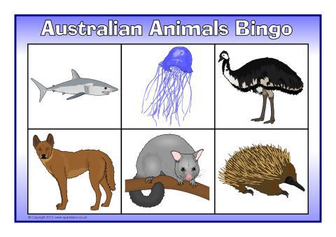 ustabil Tegnsætning Indsigtsfuld Australian Animals Bingo (SB7814) - SparkleBox