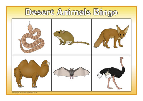 Desert Animals Bingo (SB8148) - SparkleBox
