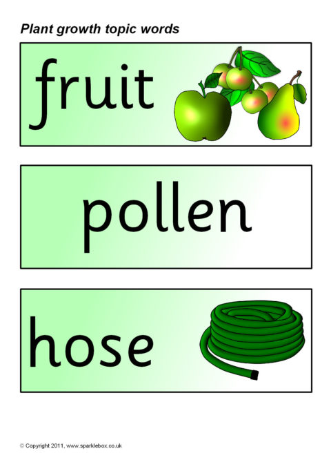 Word cards. Autumn topic. Types of texts in english. Topic 1 words. Water is life topic.