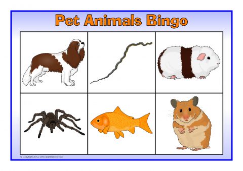Pet Animals Bingo (SB7818) - SparkleBox