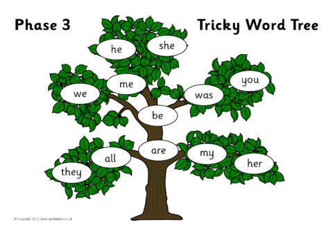 Цифра 3 слова деревьев. Tree Word. Tricky Words. Дерево Jolly Phonics tricky Words. Слово Tree.