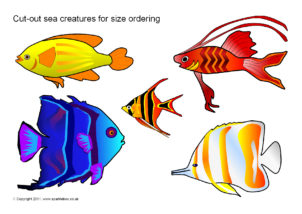Ocean Animals Printables for Primary School - SparkleBox